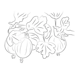 Gooseberry Up Tree Free Coloring Page for Kids
