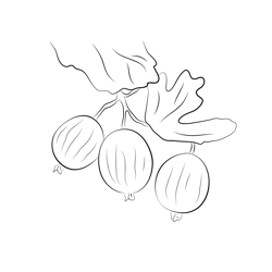 Red Gooseberry At Tree Free Coloring Page for Kids