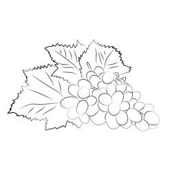 Black Grapes Free Coloring Page for Kids