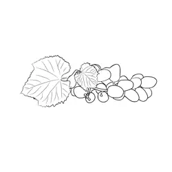 Grapes 1 Free Coloring Page for Kids
