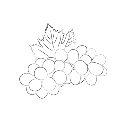 Green Grapes Free Coloring Page for Kids