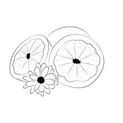 Grapefriut With Flower Free Coloring Page for Kids