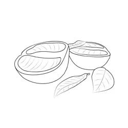 Grapefruit 1 Free Coloring Page for Kids
