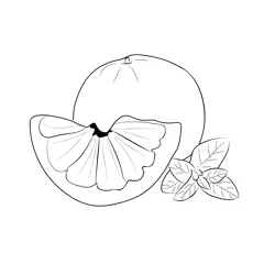 Grapefruit 2 Free Coloring Page for Kids