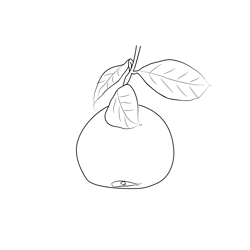 Grapefruit 3 Free Coloring Page for Kids