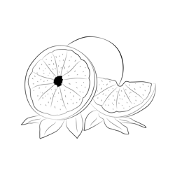 Grapefruit At Free Coloring Page for Kids