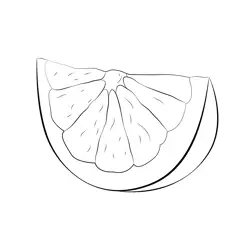 Grapefruit Slice Free Coloring Page for Kids