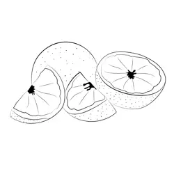 Grapefruit Free Coloring Page for Kids