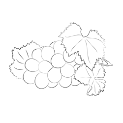 Grapes Fruit Free Coloring Page for Kids
