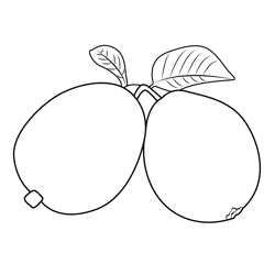 Green Guava With Leaf Free Coloring Page for Kids