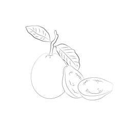 Guava Look Free Coloring Page for Kids