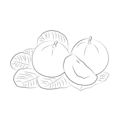 Guava Upo Free Coloring Page for Kids