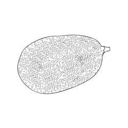 Jackfruit 2 Free Coloring Page for Kids