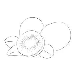 Kiwi At Free Coloring Page for Kids