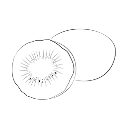 Kiwi Fruit Isolated On White Free Coloring Page for Kids
