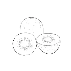 Kiwi Free Coloring Page for Kids