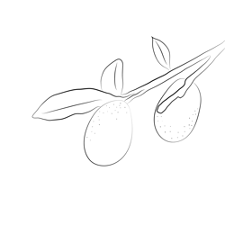 Kumquat Up Tree Free Coloring Page for Kids