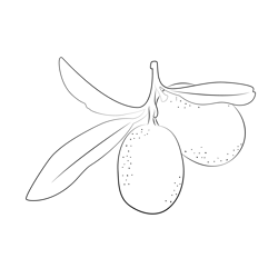 Kumquat Up Free Coloring Page for Kids