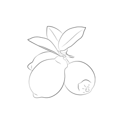 Lemon At Don Free Coloring Page for Kids