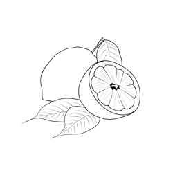 Lemons 1 Free Coloring Page for Kids