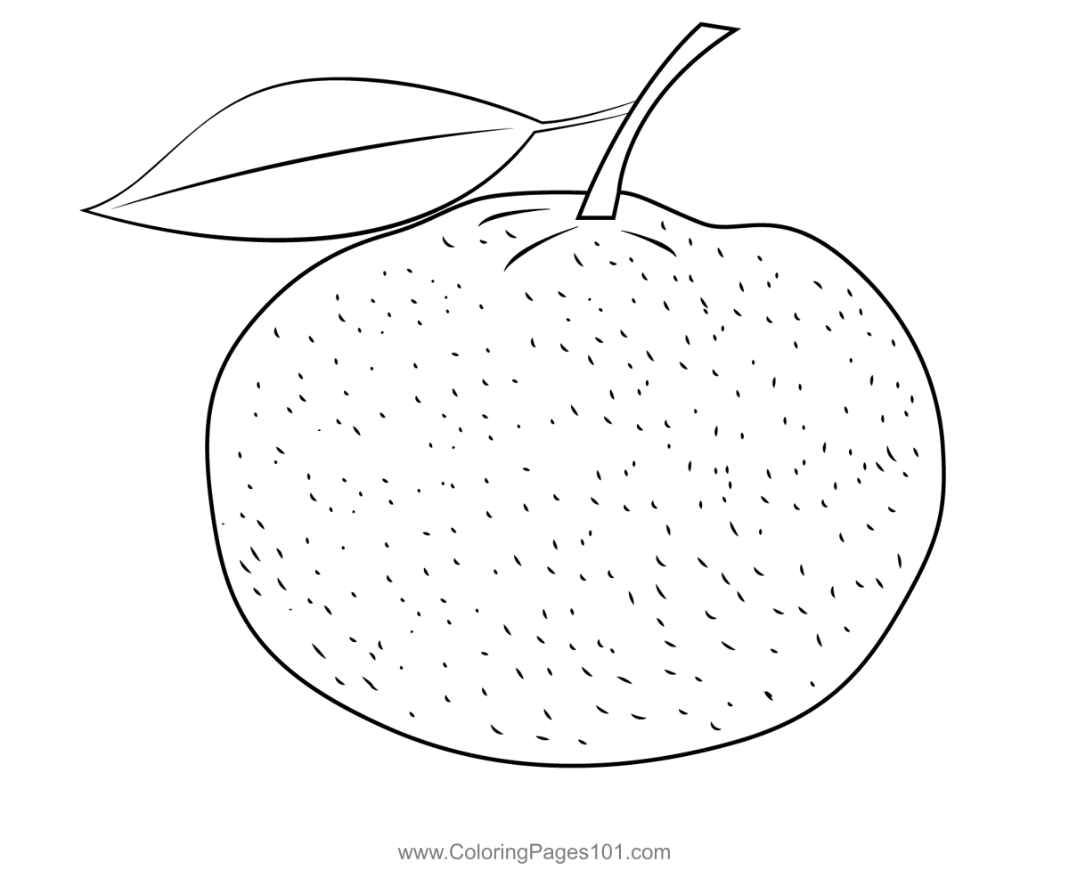 Fresh Mandarin Orange Coloring Page for Kids - Free Mandarin Orange