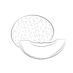 Cantaloupedd Free Coloring Page for Kids
