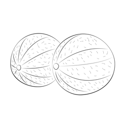 Two Whole Cantaloupe Melons Free Coloring Page for Kids