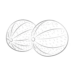 Two Whole Cantaloupe Melons Free Coloring Page for Kids