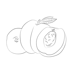 Nectarines Blanches Free Coloring Page for Kids