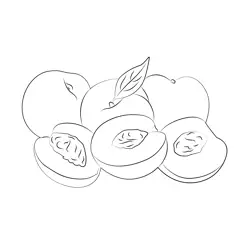 Peaches And Nectarines Free Coloring Page for Kids