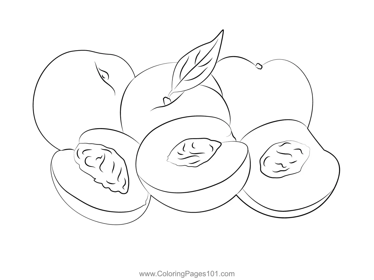 Peaches And Nectarines Coloring Page for Kids Free Nectarine