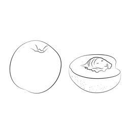 White Nectarine And Cross Section Free Coloring Page for Kids