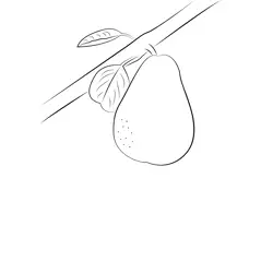 Fruit Pear Wallpaper Free Coloring Page for Kids