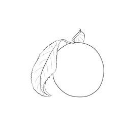 Plums 3 Free Coloring Page for Kids