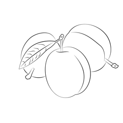 Plums Free Coloring Page for Kids