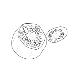 Pomegranate 2 Free Coloring Page for Kids
