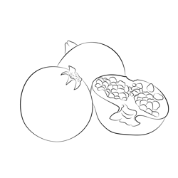 Pomegranate Fruit Free Coloring Page for Kids