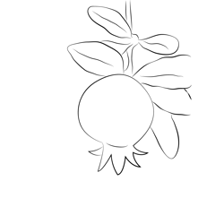 Pomegranate Up Tree Free Coloring Page for Kids