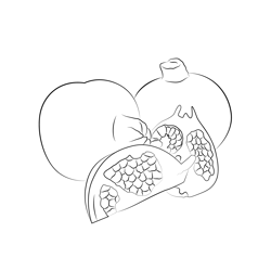 Pomegranate Whole Cut Free Coloring Page for Kids