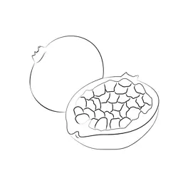 Pomegranate Free Coloring Page for Kids