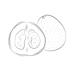 Green Pomelo Free Coloring Page for Kids