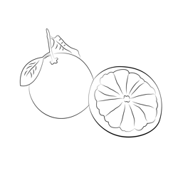 Pomelo Cut In Red Free Coloring Page for Kids
