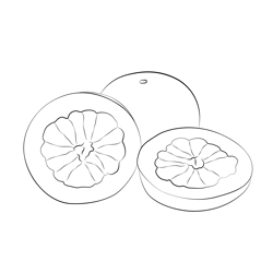 Pomelo Seet Free Coloring Page for Kids