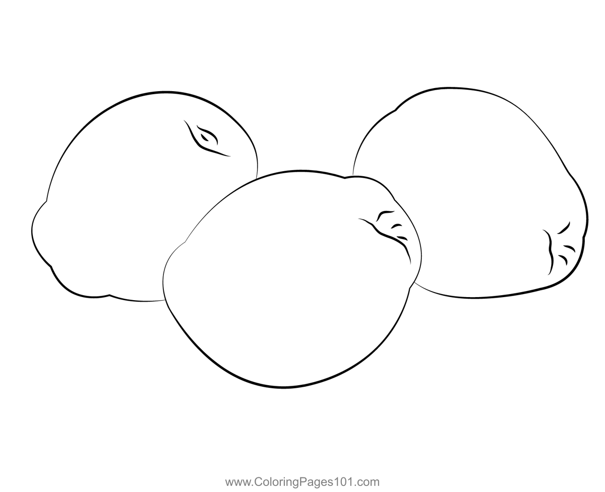 Fresh Quinces Coloring Page for Kids - Free Quince Printable Coloring ...