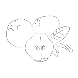 Quince At Look Free Coloring Page for Kids