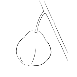 Quince Up Tree Free Coloring Page for Kids