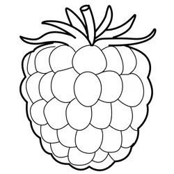 Delicious Fresh Raspberry Fruit Free Coloring Page for Kids