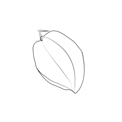 Star Fruit 1 Free Coloring Page for Kids
