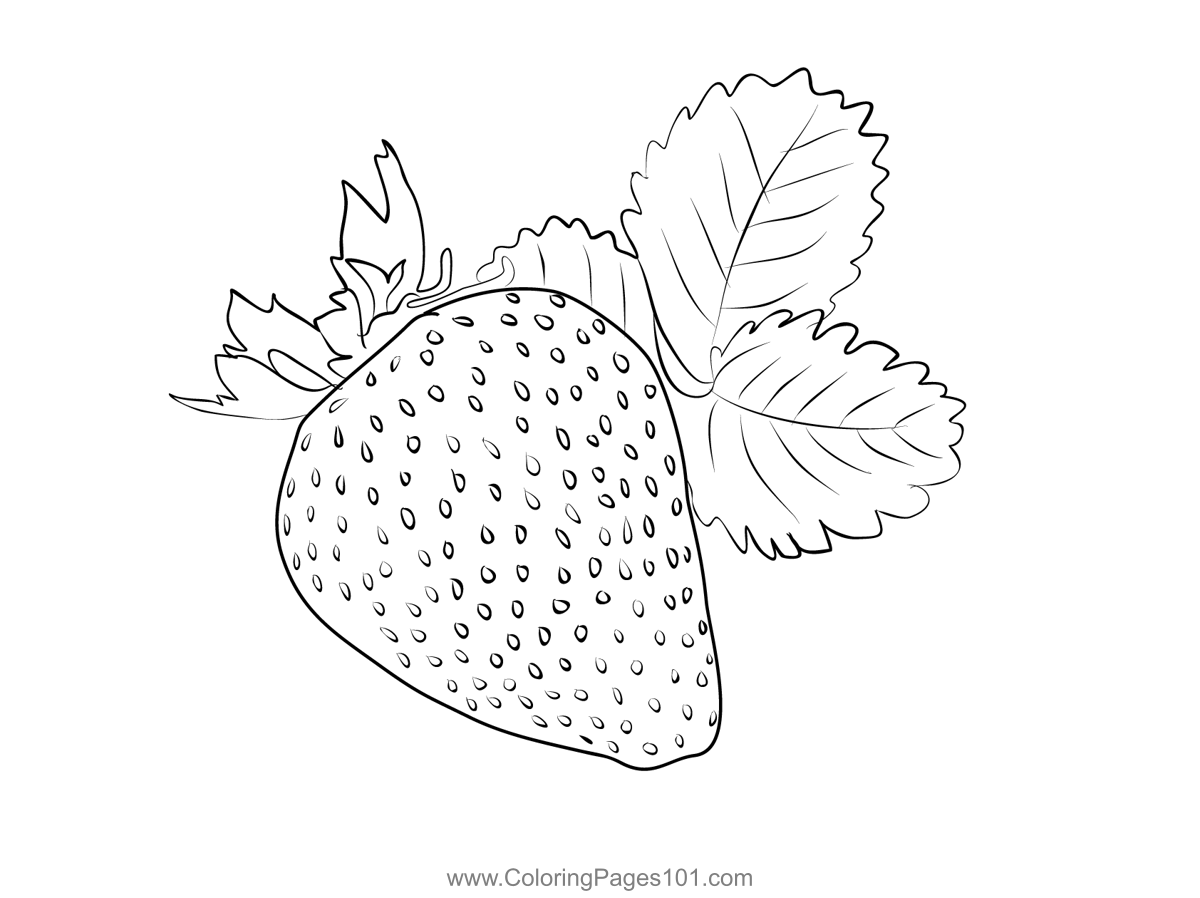 Strawberry 1 Coloring Page for Kids - Free Strawberry Printable