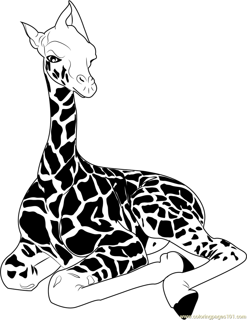 Baby Giraffe Sitting Coloring Page for Kids - Free Giraffe Printable